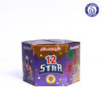 12 SHOTS MULTI COLOUR